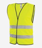 CXS Gustav - Image 3