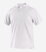 CXS Michael - Image 7