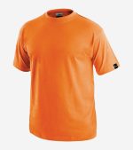 CXS Daniel - Image 7